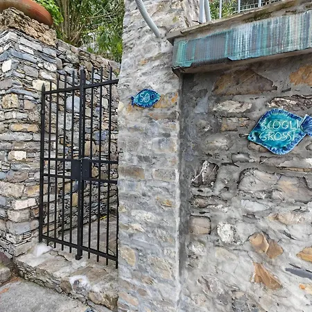 Daire Scogli Grossi - Paradiso Nel Parco Di Portofino *