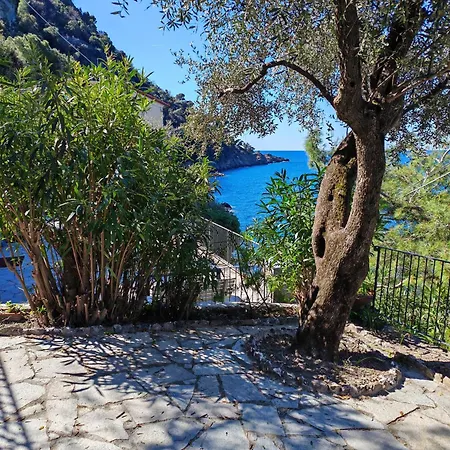 Daire Scogli Grossi - Paradiso Nel Parco Di Portofino
