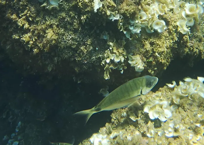 Scogli Grossi - Paradiso Nel Parco Di Portofino